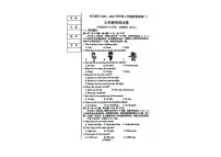 辽宁省沈阳市沈北新区2024-2025学年九年级上学期期中考试英语试题