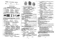 四川省成都市树德中学2024-2025学年上学期九年级9月月考英语试卷