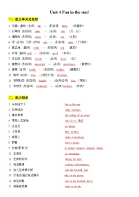 初中仁爱科普版（2024）Unit 4 Fun in the Sun !精品学案及答案