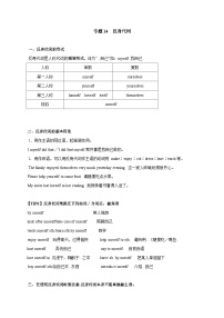 专题14 反身代词-备战2025年中考英语语法专项突破与提升训练