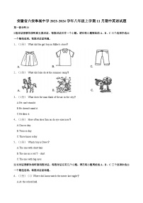 安徽省六安皋城中学2023-2024学年八年级上学期11月期中考试英语试题+