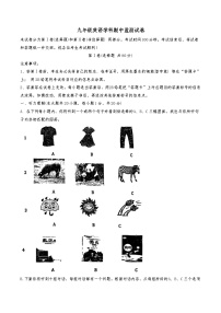 天津市小站第一中学2024-2025学年九年级上学期11月期中英语试题