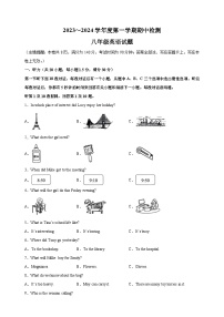 江苏省徐州市2023-2024学年八年级上学期期中英语试卷（含听力及答案解析）