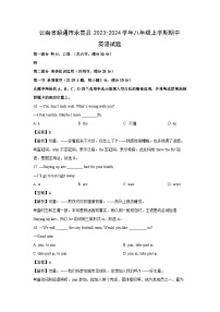 云南省昭通市永善县2023-2024学年八年级上学期期中英语试卷(解析版)