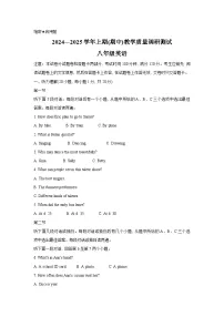 河南省鹤壁市2024-2025学年八年级上学期11月期中英语试题