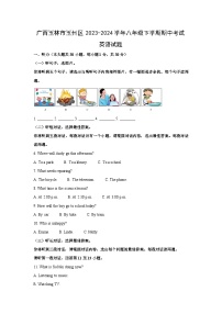 广西玉林市玉州区2023-2024学年八年级下学期期中考试英语试卷(解析版)