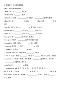 2024-2025学年人教版英语八年级下册期末复习词性转换练习