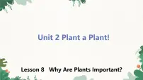 初中冀教版（2024）Lesson 8 Why Are Plants Important?图文ppt课件