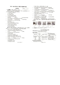 河南省新乡市附中联考2024-2025学年九年级上学期11月期中英语试题