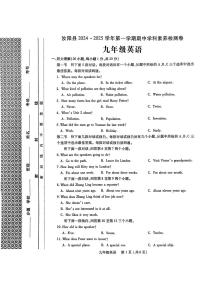 河南省洛阳市汝阳县2024-2025学年九年级上学期期中学科素养检测卷英语试题