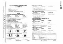 河北省保定市保定白沟新城等2地2024-2025学年八年级上学期11月期中考试英语试题