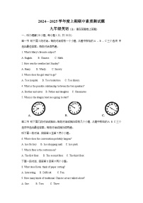 河南省驻马店市确山县2024-2025学年九年级上学期11月期中考试英语试题