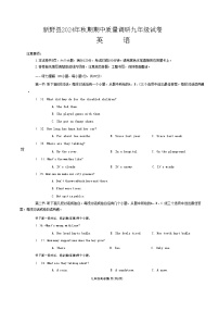 河南省南阳市新野县2024-2025学年上学期期中质量调研九年级英语试卷