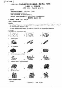 重庆市杨家坪中学教育集团2024-2025学年七年级上学期11月期中考试英语试题