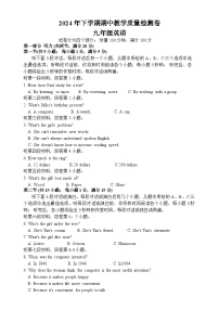 湖南省娄底市涟源市2024-2025学年九年级上学期11月期中英语试题