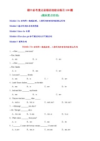 期中必考重点易错语法综合练习100题试卷-七年级英语上册单元重难点易错题精练（外研版）