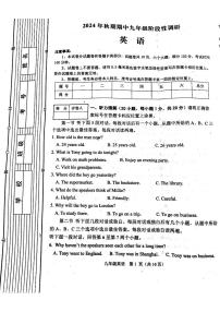 河南省南阳市淅川县2024-2025学年九年级上学期11月期中考试英语试题