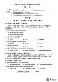 湖南省常德市桃源县2024-2025学年九年级上学期11月期中英语试题