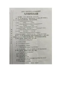 河南省洛阳市洛宁县2024-2025学年九年级上学期11月期中考试英语试题
