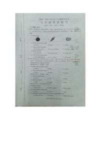 江西省赣州市安远县2024-2025学年七年级上学期11月期中考试英语试题