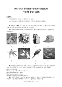 山东省枣庄市峄城区2024-2025学年七年级上学期期中质量监测英语试题
