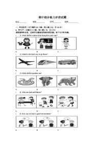 广东省惠州市小金茂峰学校2024-2025学年八年级上册英语期中考试试题