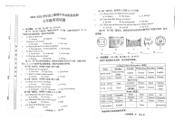 河南省漯河市临颍县2024-2025学年七年级上学期11月期中英语试题