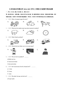 江苏省南京市溧水区2024-2025学年上学期九年级期中英语试题（含答案）