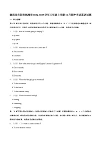 湖南省岳阳市临湘市2024-2025学年八年级上学期11月期中考试英语试题（含答案）