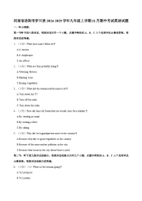 河南省洛阳市伊川县2024-2025学年九年级上学期11月期中考试英语试题（含答案）