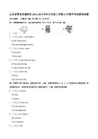 山东省青岛市城阳区2024-2025学年九年级上学期11月期中考试英语试题（含答案）