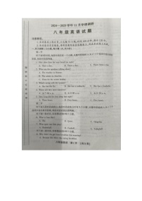 河南省洛阳市洛宁县2024-2025学年上学期11月期中学情调研八年级英语试卷