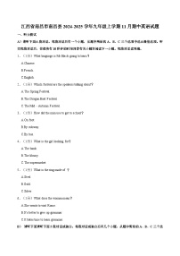 江西省南昌市南昌县2024-2025学年九年级上学期11月期中英语试题（含答案）