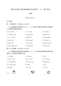 重庆市渝中区巴蜀学校2024-2025学年九年级上学期11月期中英语试题