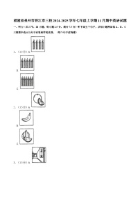 建省泉州市晋江市三校2024-2025学年七年级上学期11月期中考试英语试题（含答案）