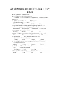云南省昭通市昭阳区2024-2025学年八年级上11月期中英语试卷