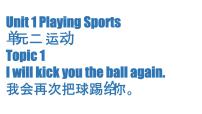 初中英语仁爱科普版（2024）八年级上册Topic 2 I'll kick you the ball again.课前预习课件ppt