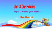 初中Topic 1 What's your hobby?说课课件ppt