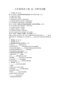 黑龙江省齐齐哈尔市五地联考2024-2025学年七年级上学期11月月考英语试题