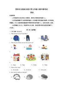 四川省资阳市安岳中学2024-2025学年九年级上学期11月期中考试英语试题