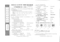 河南省商丘市睢阳区2024-2025学年八年级上学期11月期中英语试题