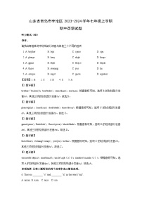 2023-2024学年山东省青岛市李沧区七年级(上)期中英语试卷（解析版）