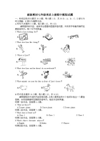 广东省湛江市雷州市第一中学2024-2025学年七年级上学期期中模拟英语试题