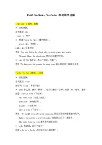 初中英语Unit 2 No Rules, No Order精品导学案