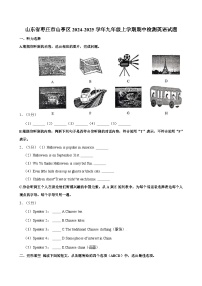 山东省枣庄市山亭区2024-2025学年九年级上学期期中检测英语试题（含答案解析）