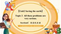 英语九年级上册Topic 2  All these problems are very serious.一等奖教学ppt课件