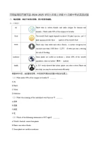 河南省南阳市唐河县2024-2025学年九年级上学期11月期中考试英语试题