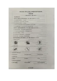 河北省衡水市桃城区第七中学2024-2025学年七年级上学期11月期中考试英语试题