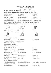 河北省石家庄市第二十三中学2024-2025学年九年级上学期英语期中试卷(无答案)