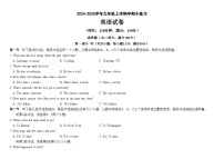 四川省眉山市东坡区百坡校联体2024-2025学年九年级上学期11月期中英语试题